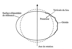 forme ellipsoidale