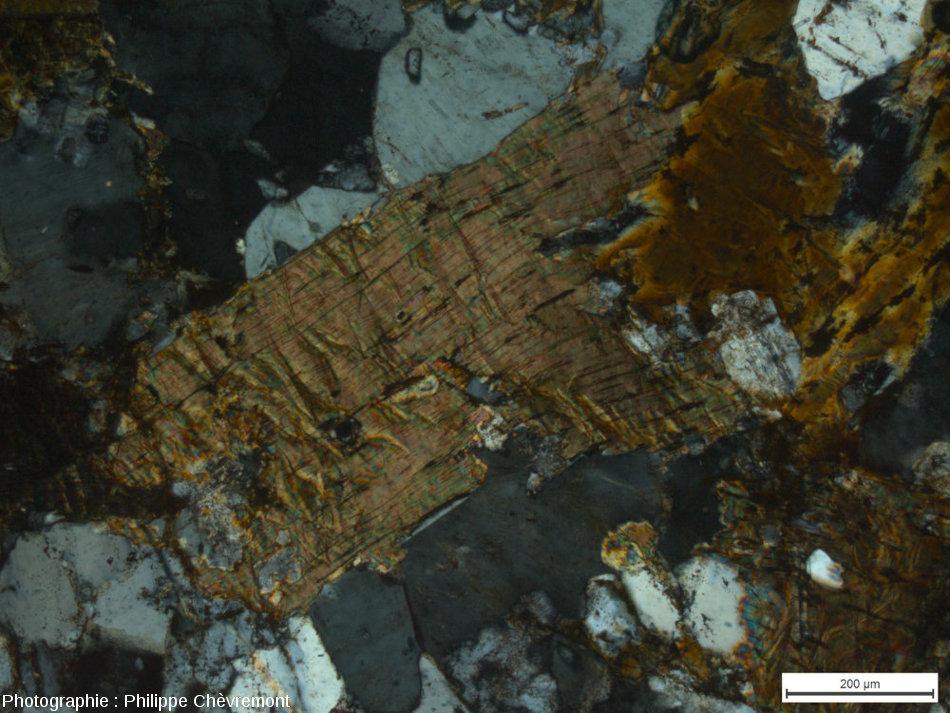 deformation-planaire-biotite-LPA.jpg