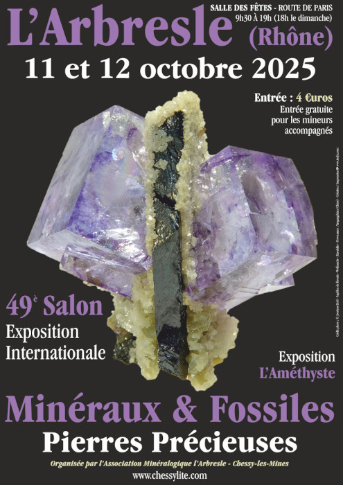 Affiche du salon « Minéraux & Fossiles – Pierres précieuses » – L’Arbresle 2025
