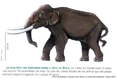 Elephant-nain-Sicile.jpg