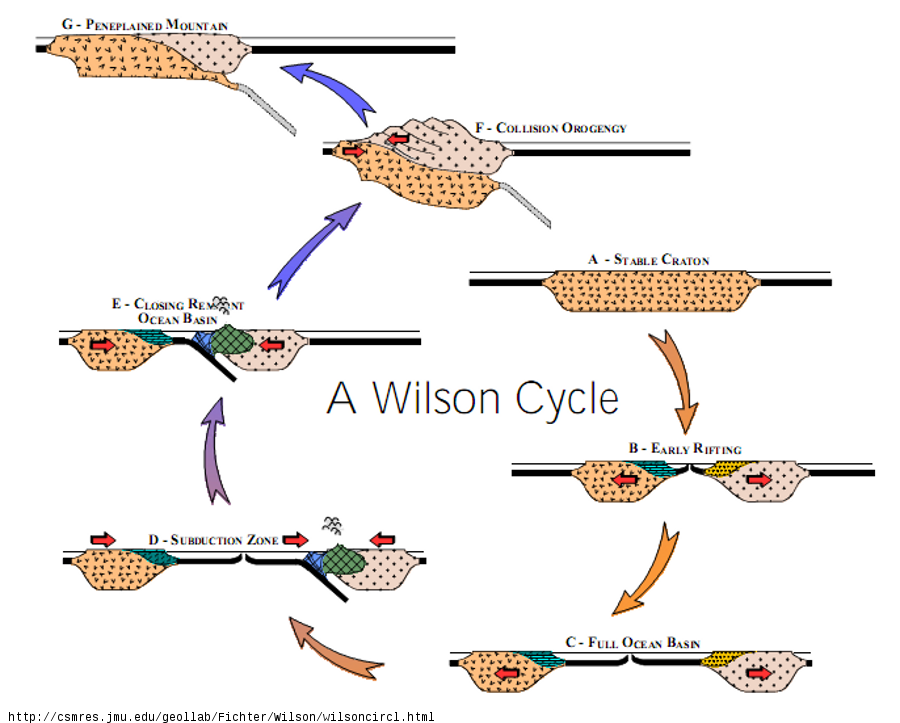 cycle-Wilson.png