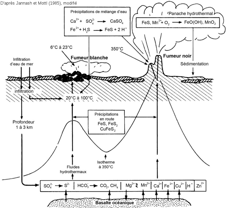 02-hydrothermalisme-oceanique.jpg