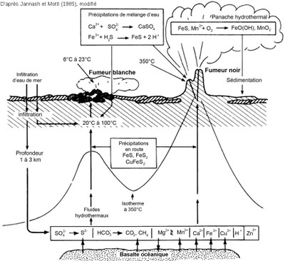 02-hydrothermalisme-oceanique.jpg