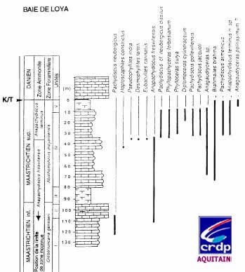 limite-cretace-tertiaire-fig04.jpg