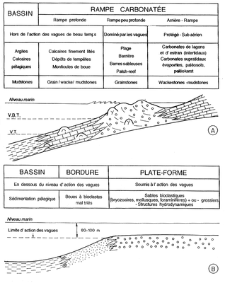 facies-rampe-carbonates.gif