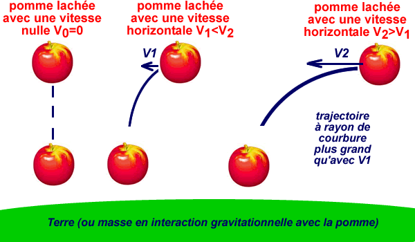 chute-pomme.gif