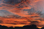 01_sunset_spectaclec_jpg.jpg