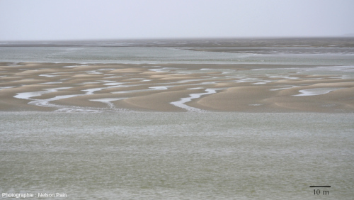 Mégarides sur une barre tidale sableuse à proximité de la Pointe du Hourdel