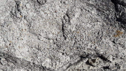 Détail des calcarénites du membre de Pertusato, au pied du cap du même nom