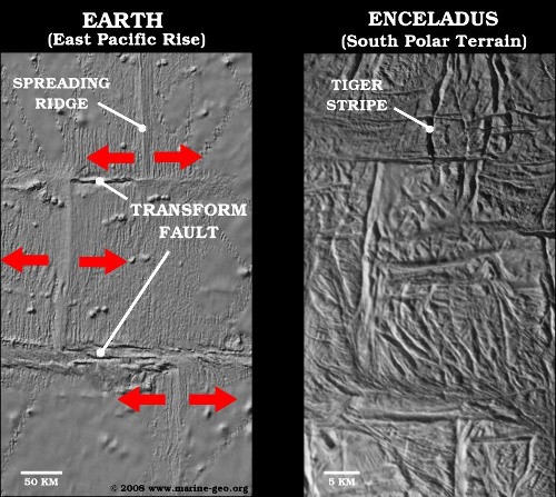 Comparaison entre une rayure de tigre segmentée sur Encelade et une faille transformante segmentant une dorsale océanique terrestre
