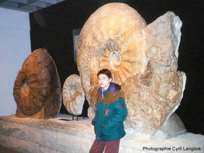 La plus grosse ammonite du monde, Münster (Allemagne)