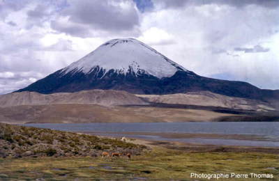 Le volcan Parinacota au Chili