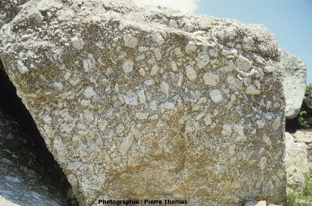 Face d'un bloc de granite porphyroïde orientée parallèlement au plan de foliation magmatique
