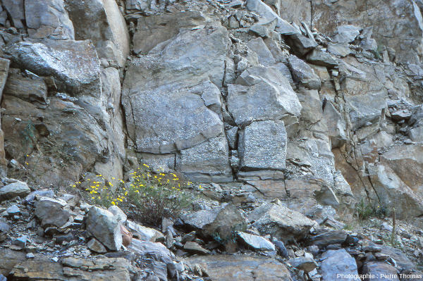 Stratifications obliques observées dans la falaise de grès près du village de Champclauson (30)