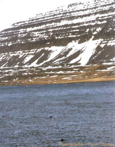 Empilement de coulées basaltiques dans un fjord au NO de l'Islande