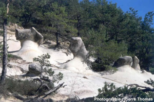 Boules de grès dans les sables oligocènes de l'arrière pays niçois (Saint Antonin, Alpes maritimes)