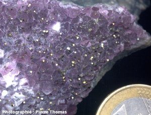 Pyrite sur demi-octaèdres de fluorine (mines d'Argentolles, 71)