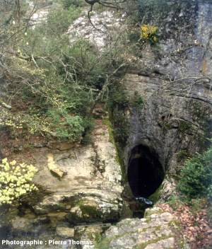 La goule de Foussoubie (Ardèche, perte du ruisseau des Planches)