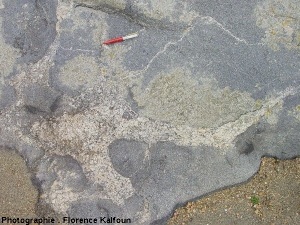 Enclaves lobées de roches basique dans le granite rose à gros grains