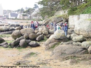 Vue générale du chaos granitique de la plage de l'anse Sainte Anne
