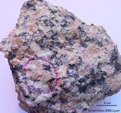 Échantillon de granite à texture rapakivi de Traouiero (complexe granitique de Ploumanac'h)
