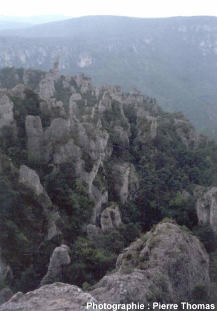 Vue du rebord du Causse Noir dominant la vallée de la Dourbie, montrant le développement du relief ruiniforme de Montpellier le Vieux (12) à la limite Sud du plateau