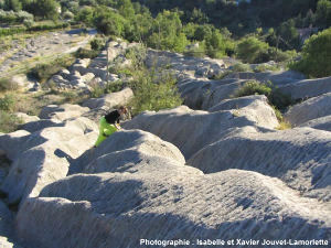 Vue d'ensemble de ce karst affectant les calcaires miocènes de Tourette sur Loup