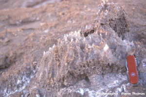 Vue de détail de ces micro-rigoles de dissolution dans du sel, désert d'Atacama (Chili)