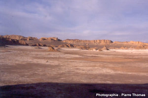 Vue générale de l'affleurement, désert d'Atacama (Chili)