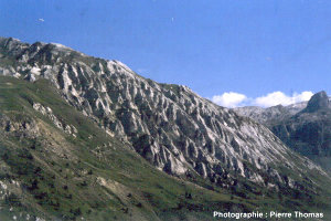 Gypse du trias supérieur du massif de la Vanoise (Savoie) affecté par des figures de dissolution (rigoles)