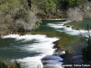 Rivière avec concrétions calcaires dans le parc national de Krka (Croatie)