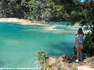 Rivière Aguas Azul dans le Yucatan mexicain
