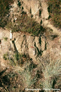 Structure en pelure d'oignon dans le granite du Quérigut (Pyrénées orientales)