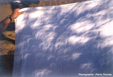 Multiples images d'un croissant de soleil partiellement éclipsé, vues sur un drap placé sous un arbre