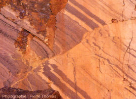 Faille inverse affectant des calcaires du Dévonien de la Montagne Noire, légèrement métamorphisés (carrière de Félines-Minervois, Hérault)