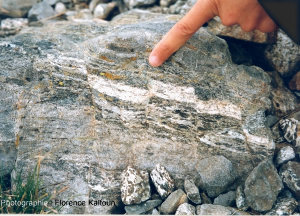 Failles à décalage centimétrique affectant un gabbro folié, ophiolite hercynienne de Chamrousse (Isère)