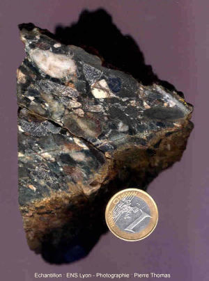 Méta-conglomérat légèrement étiré, Carbonifère inférieur de Ferrières sur Sichon (Allier)