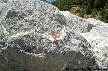 Vue d'ensemble du filonnet de calcite avec soufre natif traversant une masse de carbonates sombres