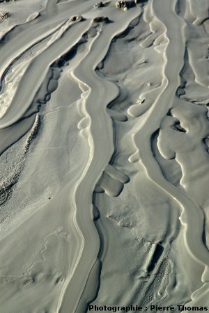 Vue détaillée de l'aval de la coulée de boue Sud (pseudo coulée de lave), volcan de boue n°1, Nirano (Émilie Romagne, Italie)