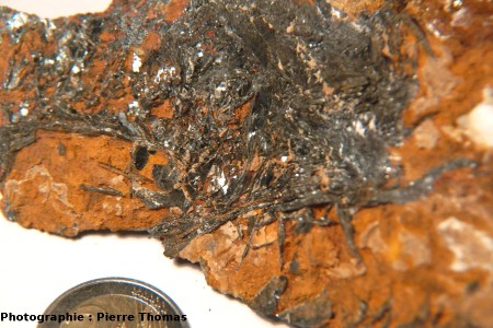 Cristaux d'hématite inclus dans une matrice argilo-ferreuse, en Beaufortin, vue rapprochée