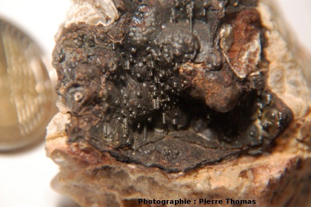 Mini-stalactites dans une géode d'hématite, carrière de la Bosse, Echassières (Allier)