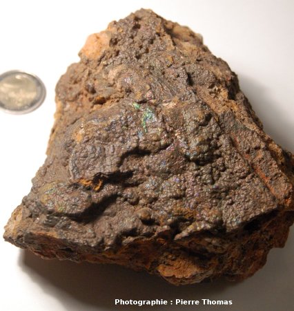 Surface mamelonnée d'hématite recouverte d'une très fine couche de goethite ou de limonite : apparition d'irisations, carrière de la Bosse, Echassières (03)