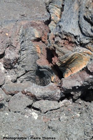 Autre moulage (tree mold), vu de près, dans la même coulée de lave, Kilauea, Hawaii
