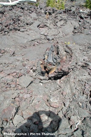 Autre moulage (tree mold) dans la même coulée de lave, Kilauea, Hawaii