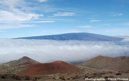 Vue générale du versant Nord du Mauna Loa (4170m) prise du pied du Mauna Kea, Hawaii