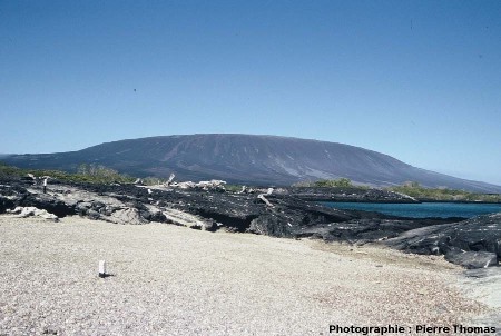 Le volcan « la Cumbre » (1463 m), île de Fernandina, Galapagos