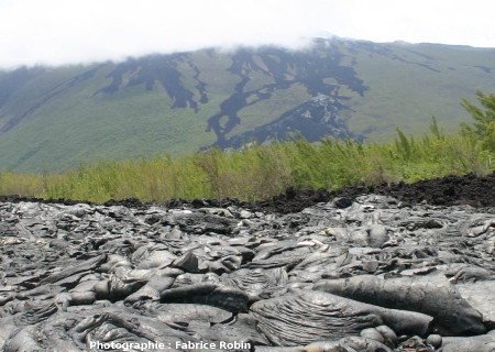 Coulée de lave du flanc Est du Piton de la Fournaise envahissant une forêt (La Réunion, 2004)