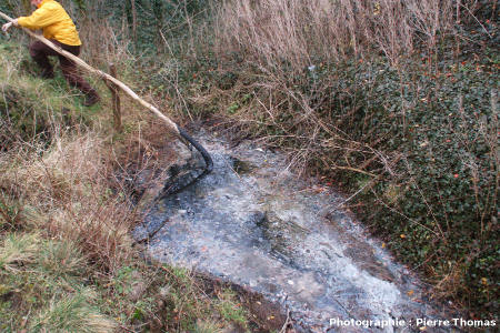La source du « ruisseau de bitume » du Puy de la Poix, commune de Clermont-Ferrand (Puy de Dôme)