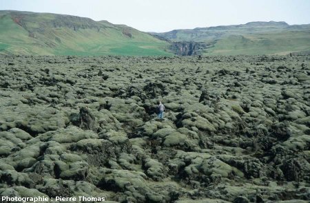 Surface aa de la coulée du Laki (Islande), surface complètement colonisée par des lichens