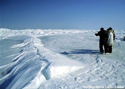 Ride de pression affectant la banquise arctique